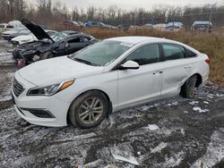 Salvage cars for sale at auction: 2015 Hyundai Sonata SE