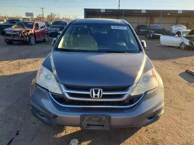 2010 Honda CR-V EXL