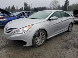 Vehiculos salvage en venta de Copart Graham, WA: 2014 Hyundai Sonata SE