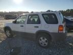 2001 Ford Escape XLT