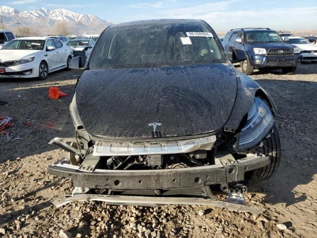 2020 Tesla Model Y