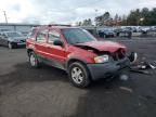 2002 Ford Escape XLT