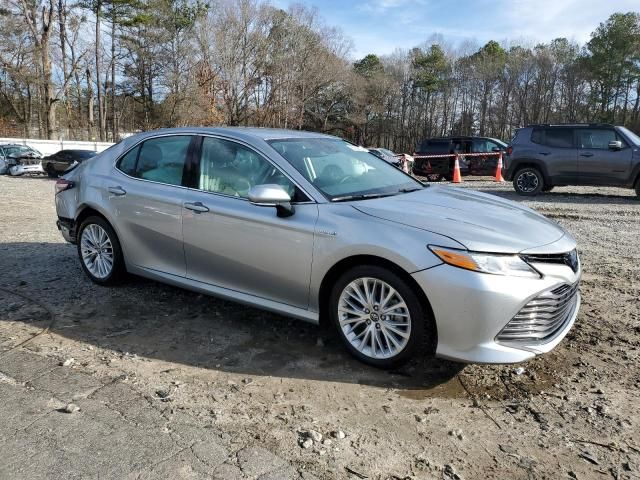 2019 Toyota Camry Hybrid