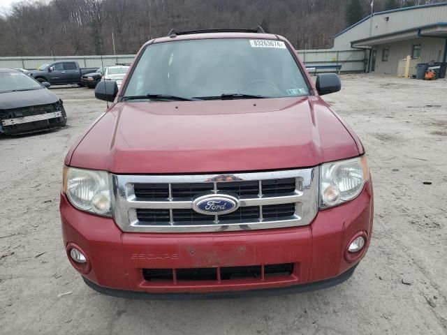 2011 Ford Escape XLT