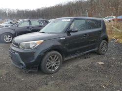 SUV salvage a la venta en subasta: 2014 KIA Soul +