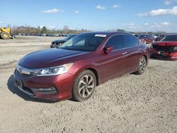 Salvage cars for sale at Lumberton, NC auction: 2016 Honda Accord EXL