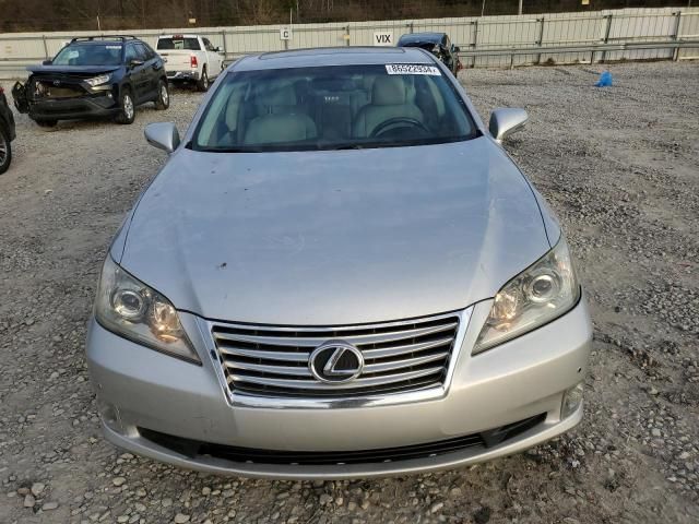 2010 Lexus ES 350