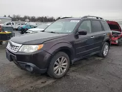 Salvage cars for sale at Pennsburg, PA auction: 2013 Subaru Forester Limited