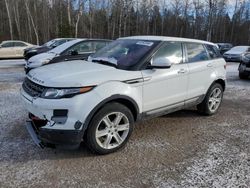 Salvage SUVs for sale at auction: 2014 Land Rover Range Rover Evoque Pure