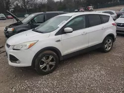 Salvage cars for sale at Madisonville, TN auction: 2013 Ford Escape SE