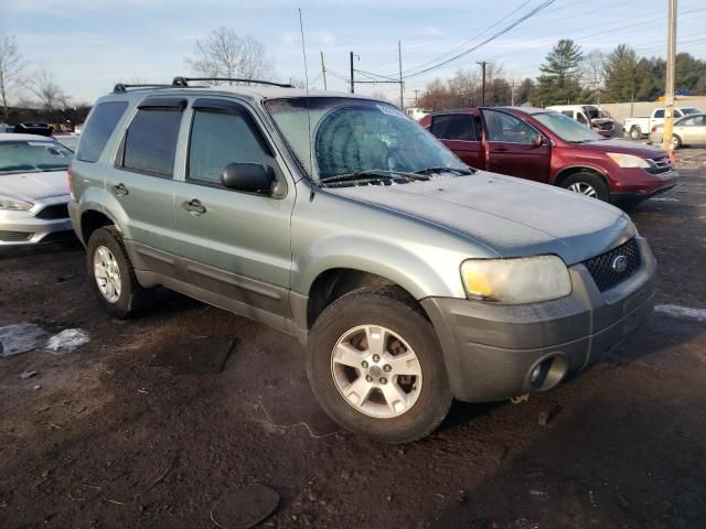 2007 Ford Escape XLT