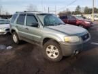 2007 Ford Escape XLT