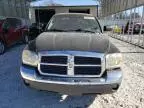 2005 Dodge Dakota Quad SLT