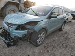 Salvage cars for sale at Magna, UT auction: 2013 Ford Escape SEL