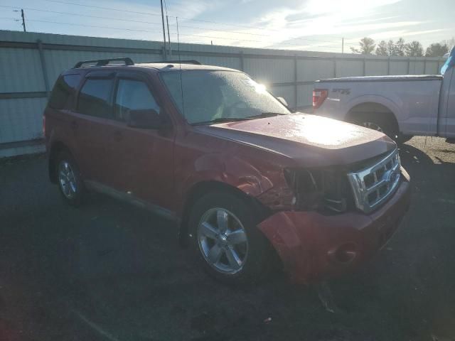 2010 Ford Escape XLT