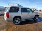 2009 Cadillac Escalade Luxury