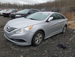 Salvage cars for sale from Copart Baltimore, MD: 2014 Hyundai Sonata GLS