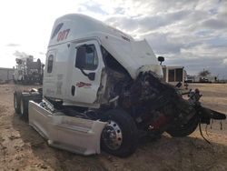 Salvage trucks for sale at Temple, TX auction: 2013 Freightliner Cascadia 125