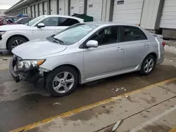 Salvage cars for sale at Louisville, KY auction: 2013 Toyota Corolla Base