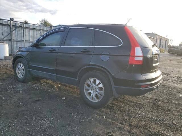 2010 Honda CR-V EXL