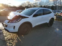 Salvage cars for sale at North Billerica, MA auction: 2022 Ford Escape SE