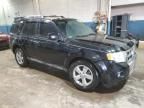 2010 Ford Escape Limited