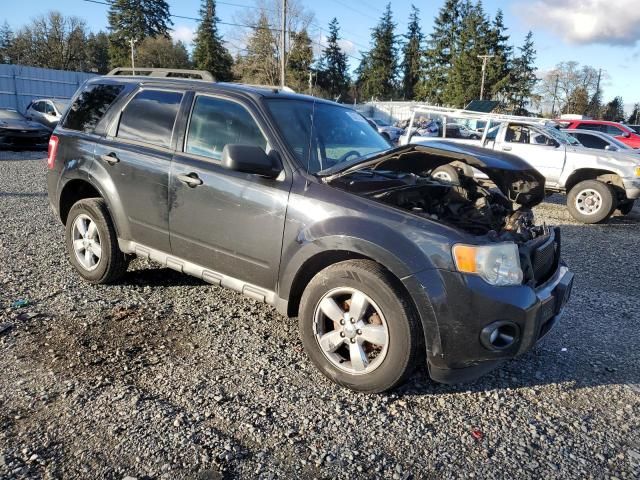 2009 Ford Escape XLT