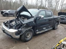 2019 Chevrolet Silverado K1500 LT en venta en Cookstown, ON