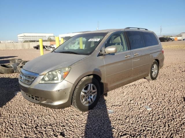 2005 Honda Odyssey EXL