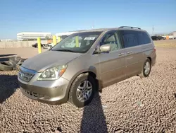 Salvage cars for sale at Phoenix, AZ auction: 2005 Honda Odyssey EXL