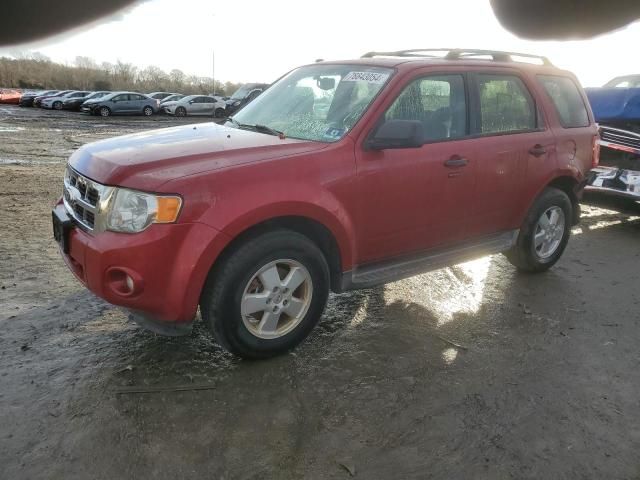 2011 Ford Escape XLT