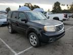 2013 Honda Pilot EXL