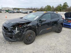 Salvage cars for sale at Memphis, TN auction: 2024 Subaru Crosstrek Wilderness