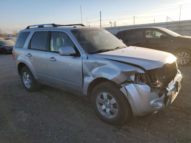 2010 Ford Escape Limited