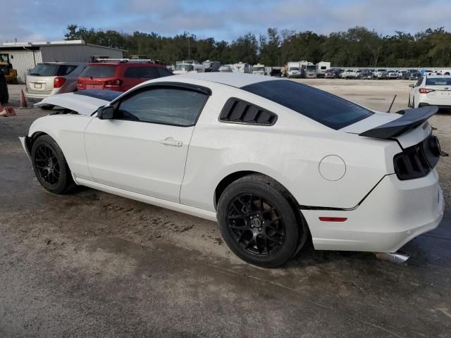 2013 Ford Mustang