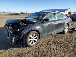 Vehiculos salvage en venta de Copart Brighton, CO: 2011 Toyota Camry Base