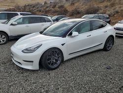 Salvage cars for sale at Reno, NV auction: 2020 Tesla Model 3