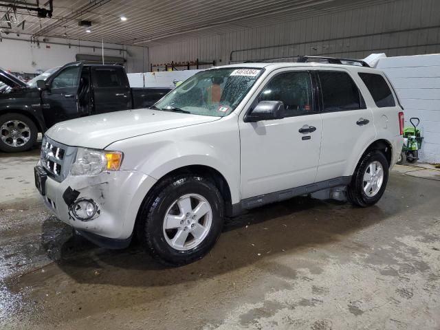 2009 Ford Escape XLT