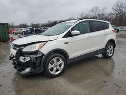 Salvage cars for sale at Ellwood City, PA auction: 2013 Ford Escape SE