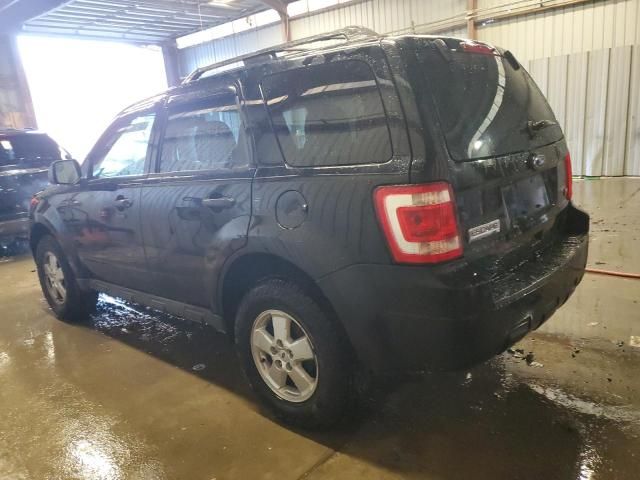 2010 Ford Escape XLT