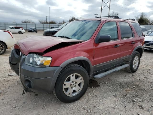 2006 Ford Escape XLT