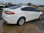 2013 Ford Fusion SE Hybrid