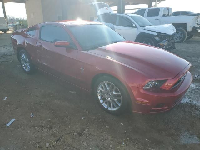 2013 Ford Mustang