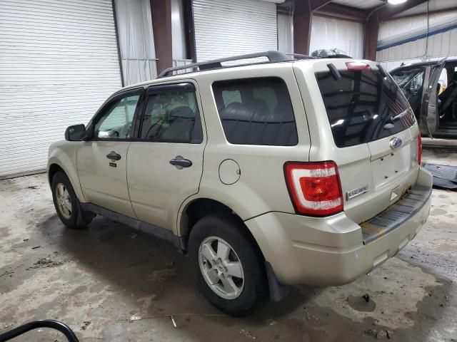 2011 Ford Escape XLT