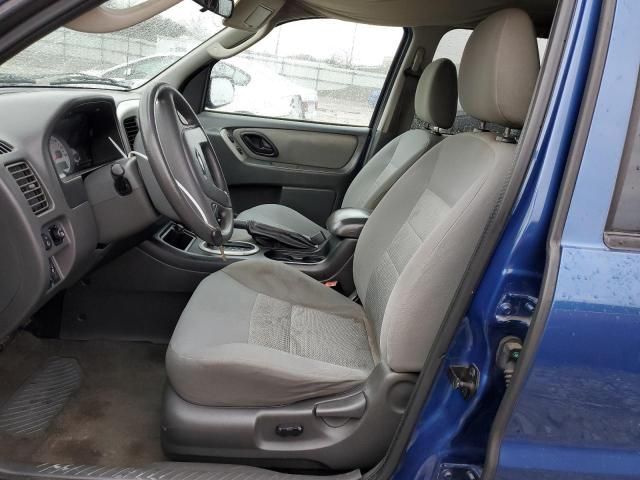 2007 Ford Escape XLT