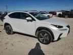 2019 Lexus NX 300 Base