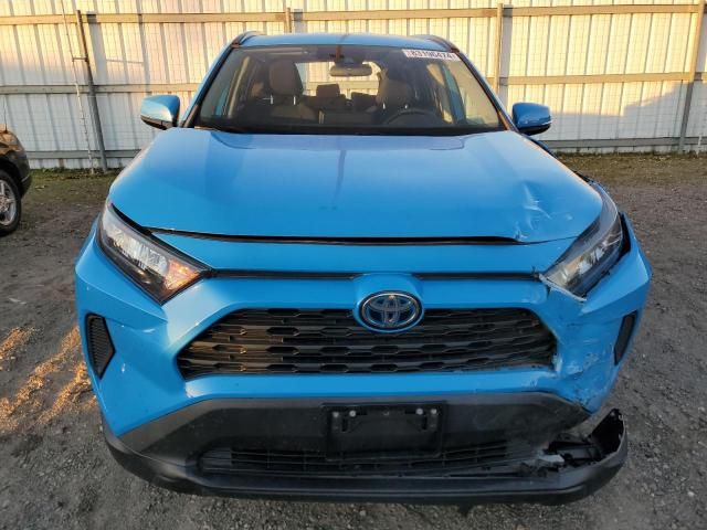 2019 Toyota Rav4 LE