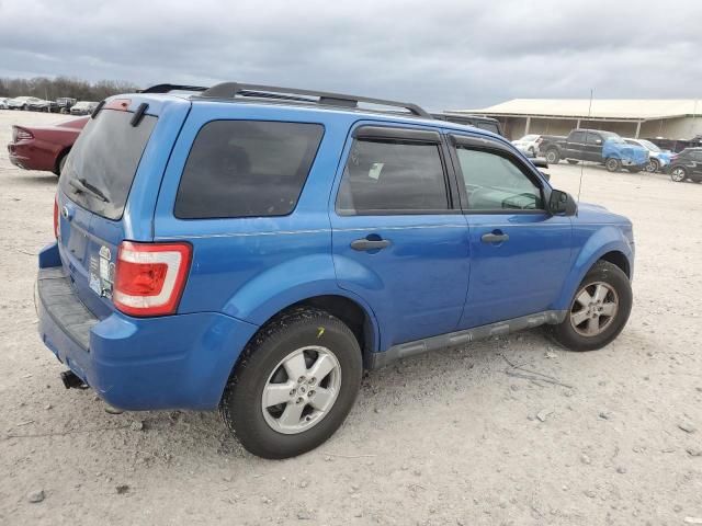 2011 Ford Escape XLT