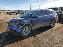 Salvage cars for sale at Colorado Springs, CO auction: 2013 Honda CR-V EXL