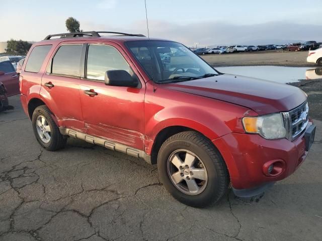 2012 Ford Escape XLS